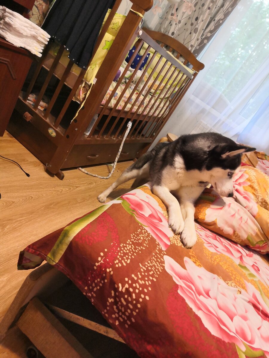 Это  она делает вид, что НЕ лежит на диване. 