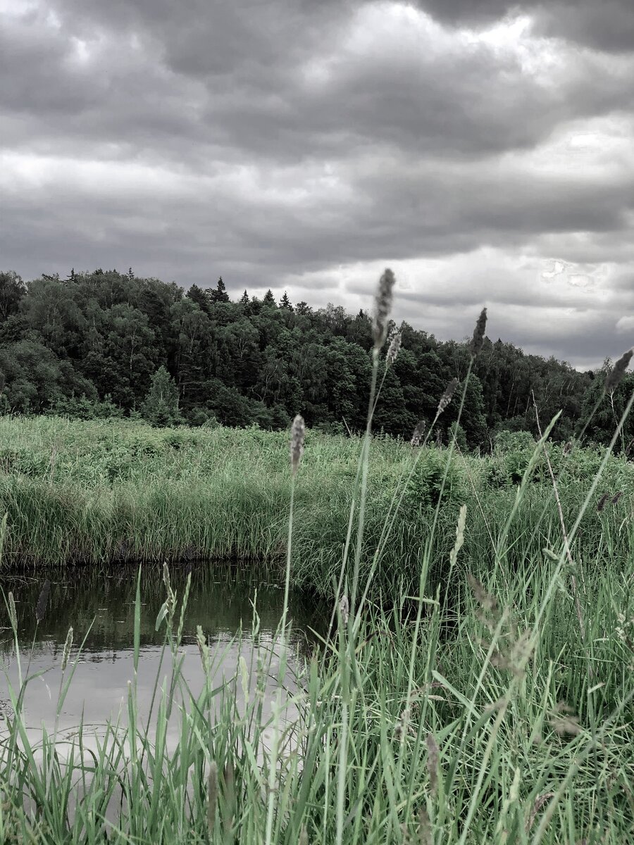 "За краем изумрудно-зеленого травяного ковра..."