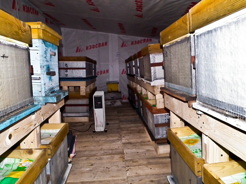 однорядный зимовник