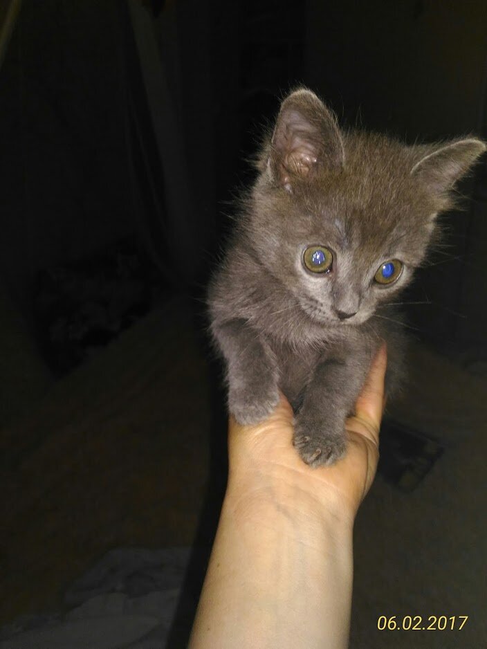 Десять дней дома