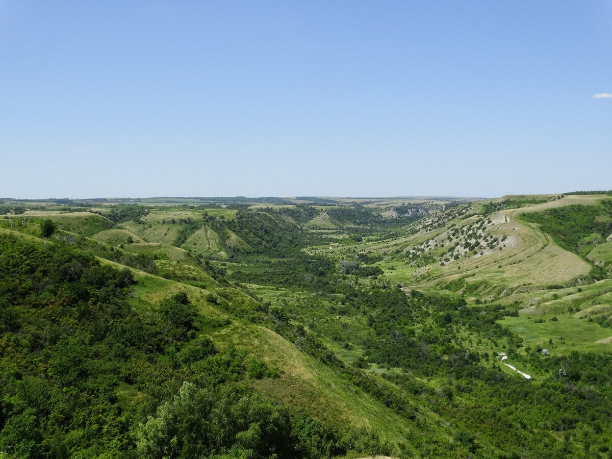 Даниловский каньон Саратов