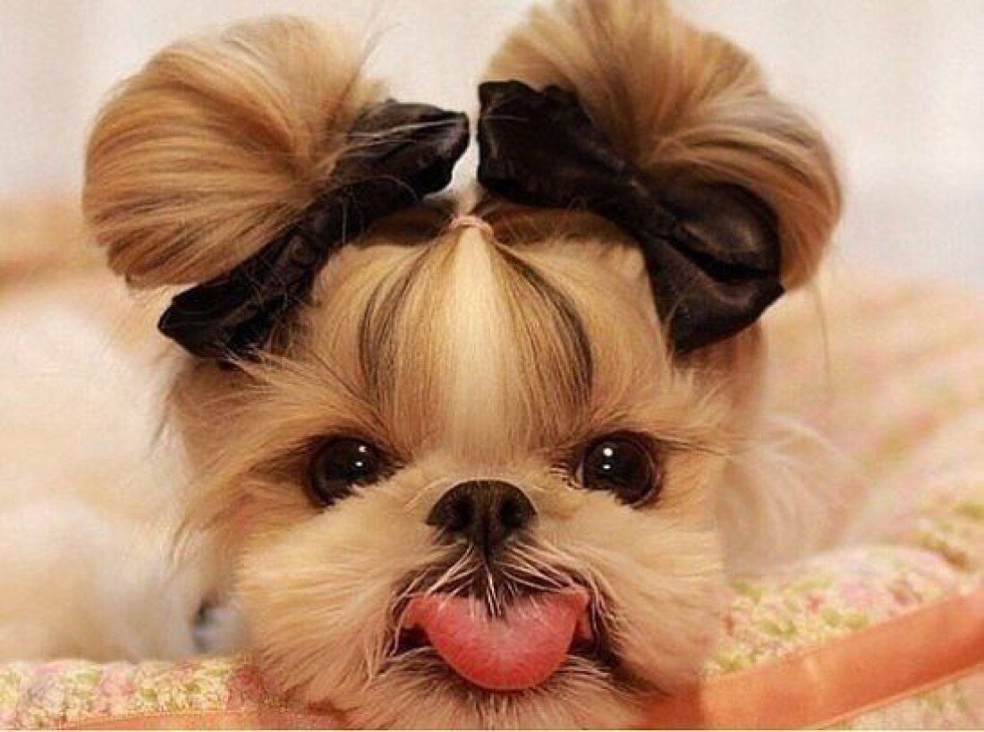 и это только начало