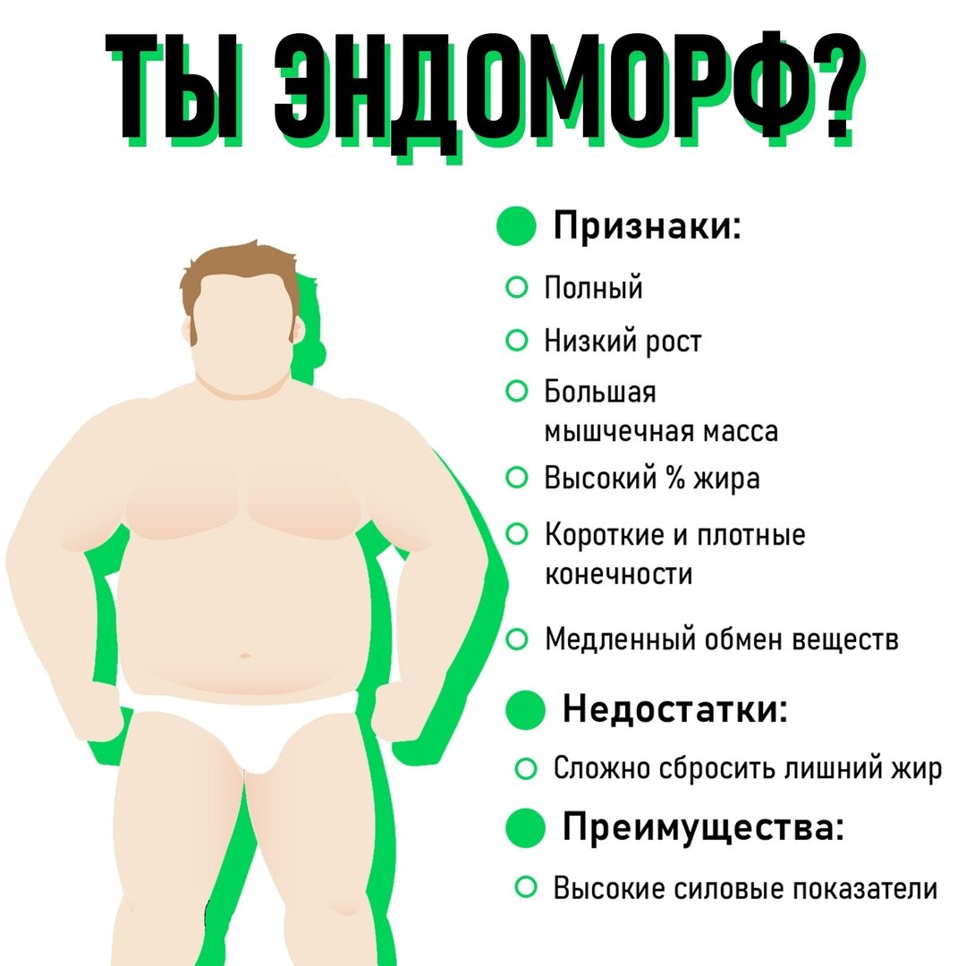 Физические данные человека пример Питание по типу сложения Здоровый Образ Жизни Дзен
