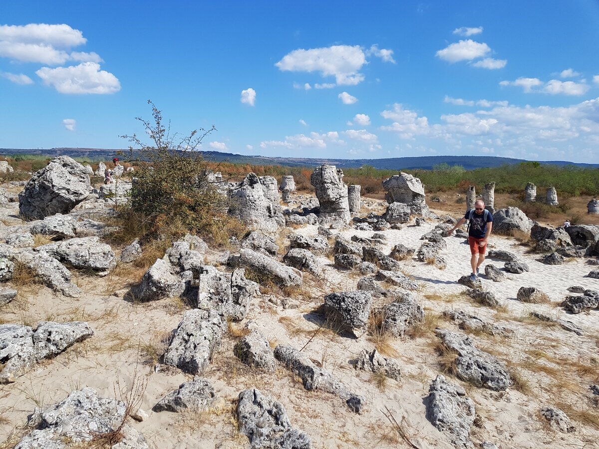 Волшебный каменный лес🌳