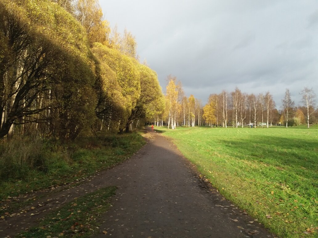 Фото автора (прогулка в октябре)