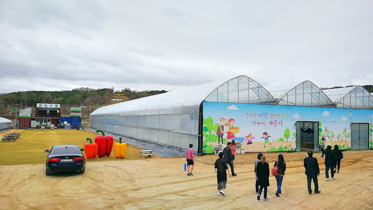 Теплица расположена вблизи города Пучон