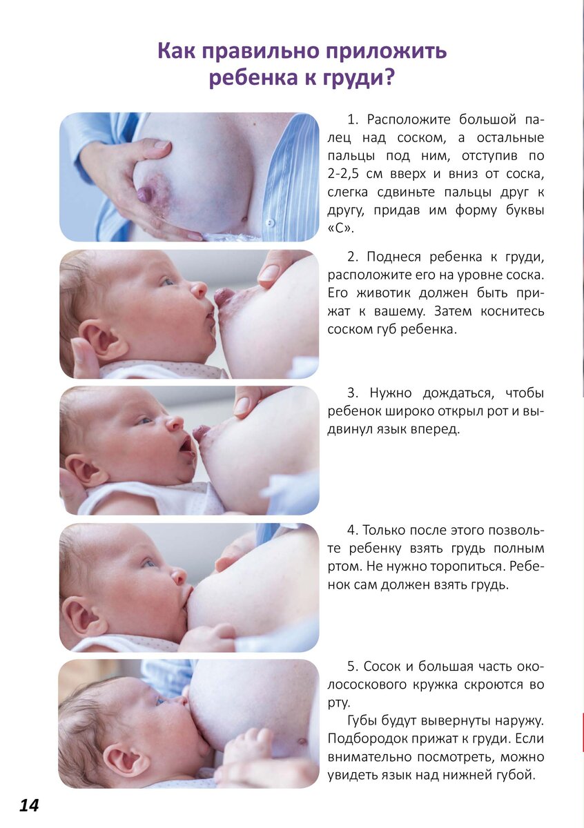 Как должен выглядеть как новорожденного