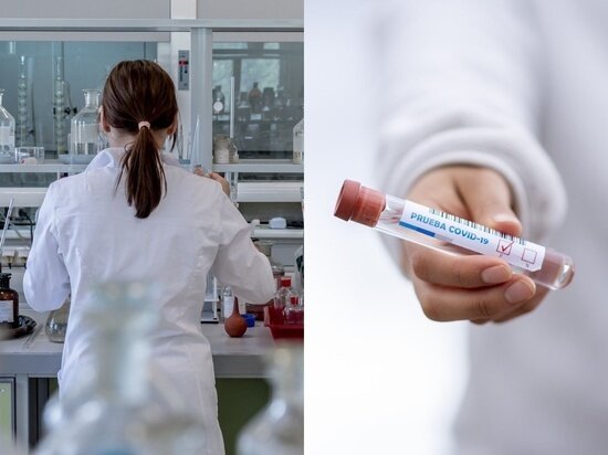 Фото - pixabay.com