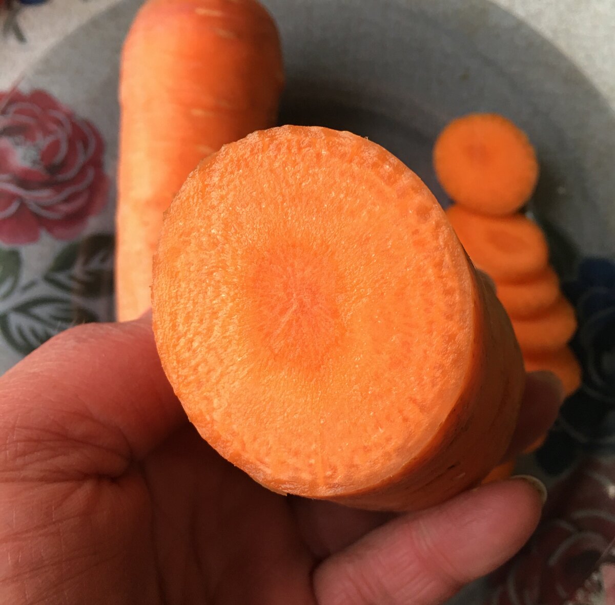 Какая морковь вкуснее – обычная или фиолетовая? Сажала и ту, и ту – делюсьвпечатлениями