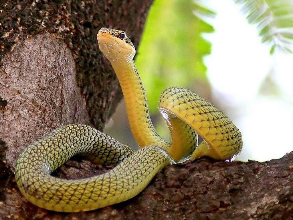 фото из открытых источников интернет