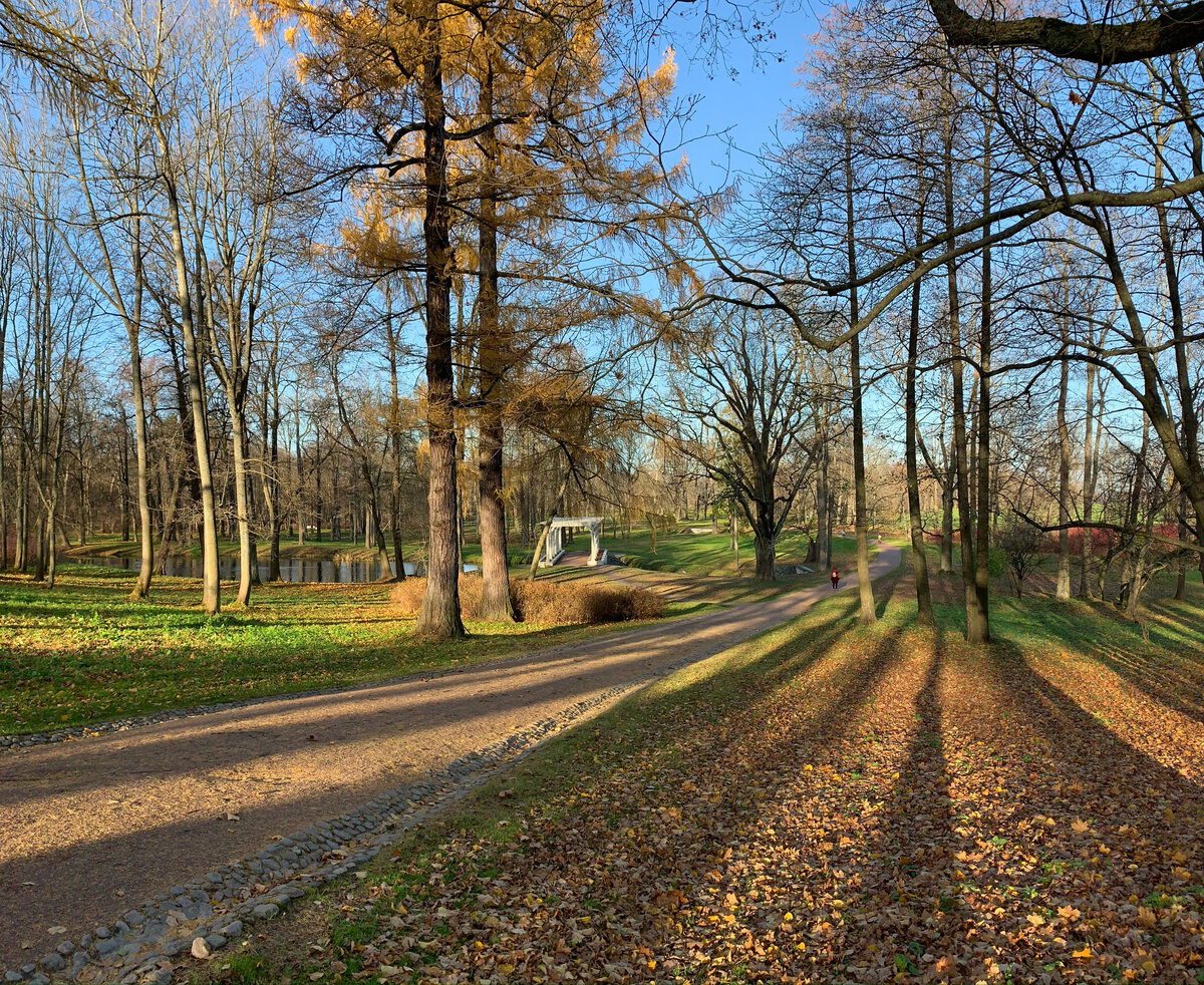 парк александрия спб