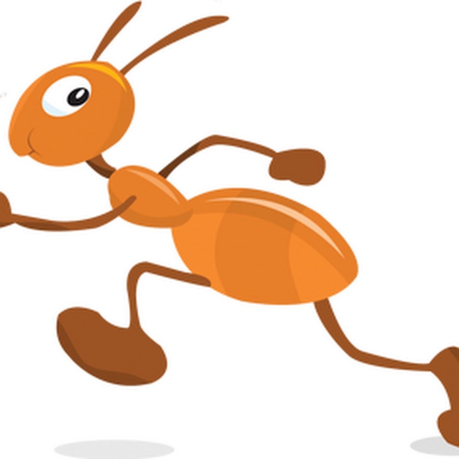 Если нужно избавиться от муравьев, а на химические средства не хватает денег можно использовать манку.