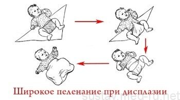 фото из яндекса