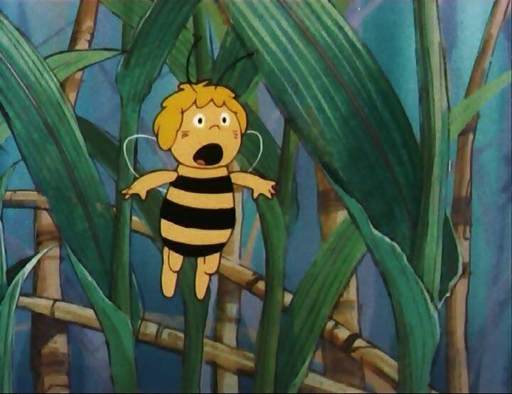 Кадр из мультфильма "Пчелка Майя"