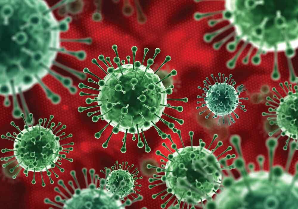 Фото взято из общего доступа