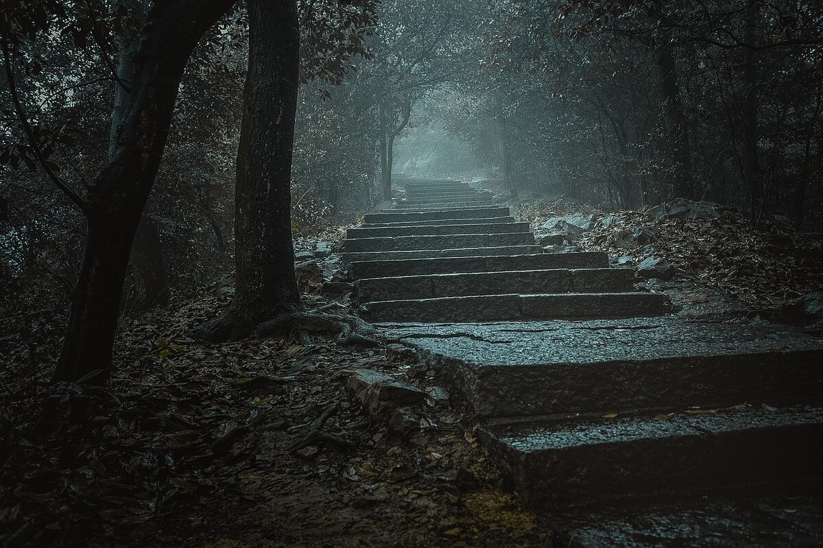 Разгадайте тайну алтаря путь в туманном лесу