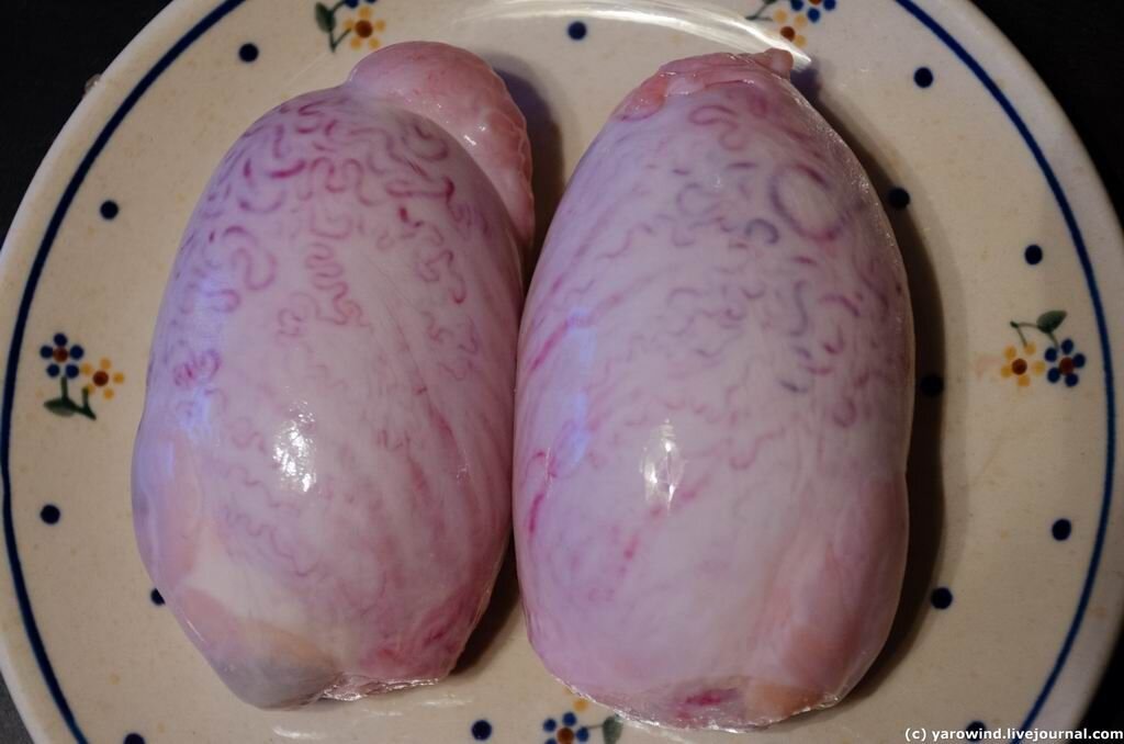 Бычьи яица