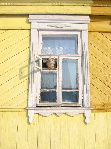 Луша в деревенском доме. Фото автора