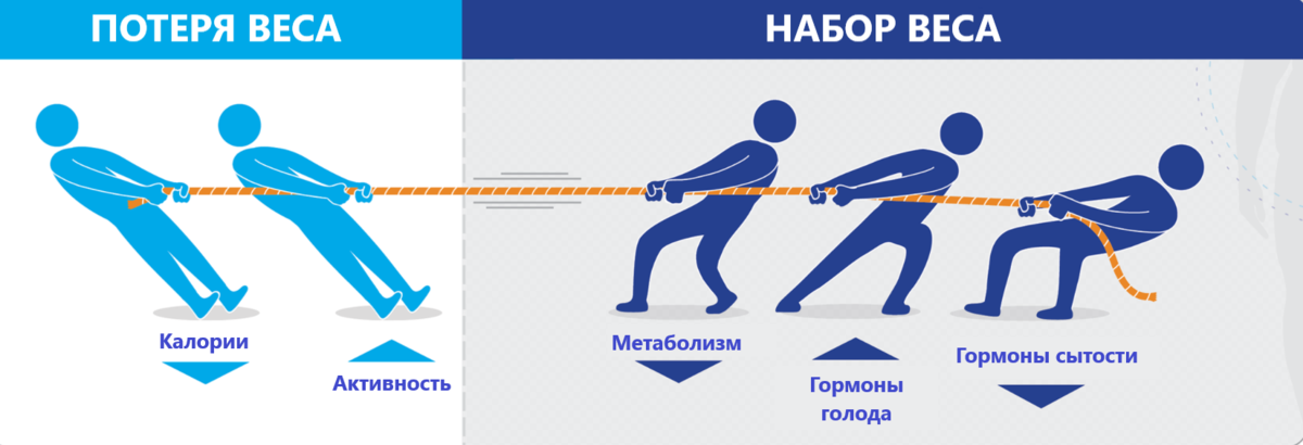 Примерная картина будет такой