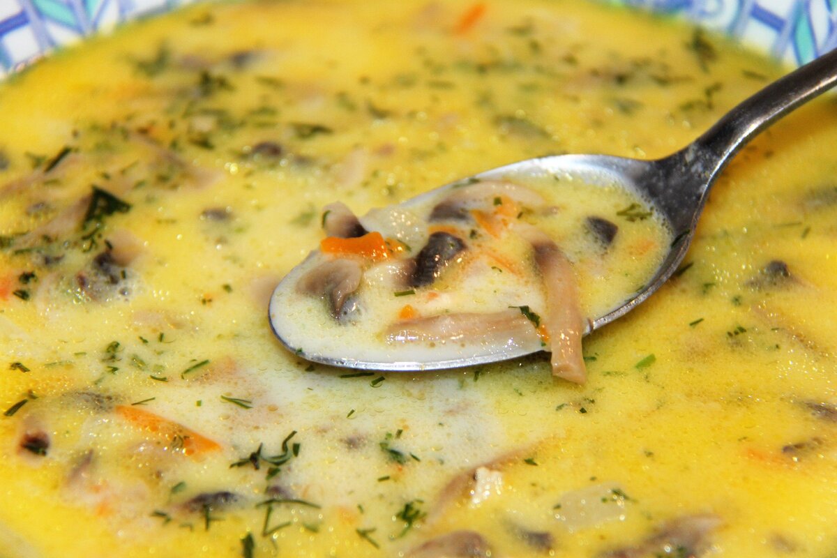 Сливочно-сырный суп с грибами: белыми, подберезовиками, подосиновиками