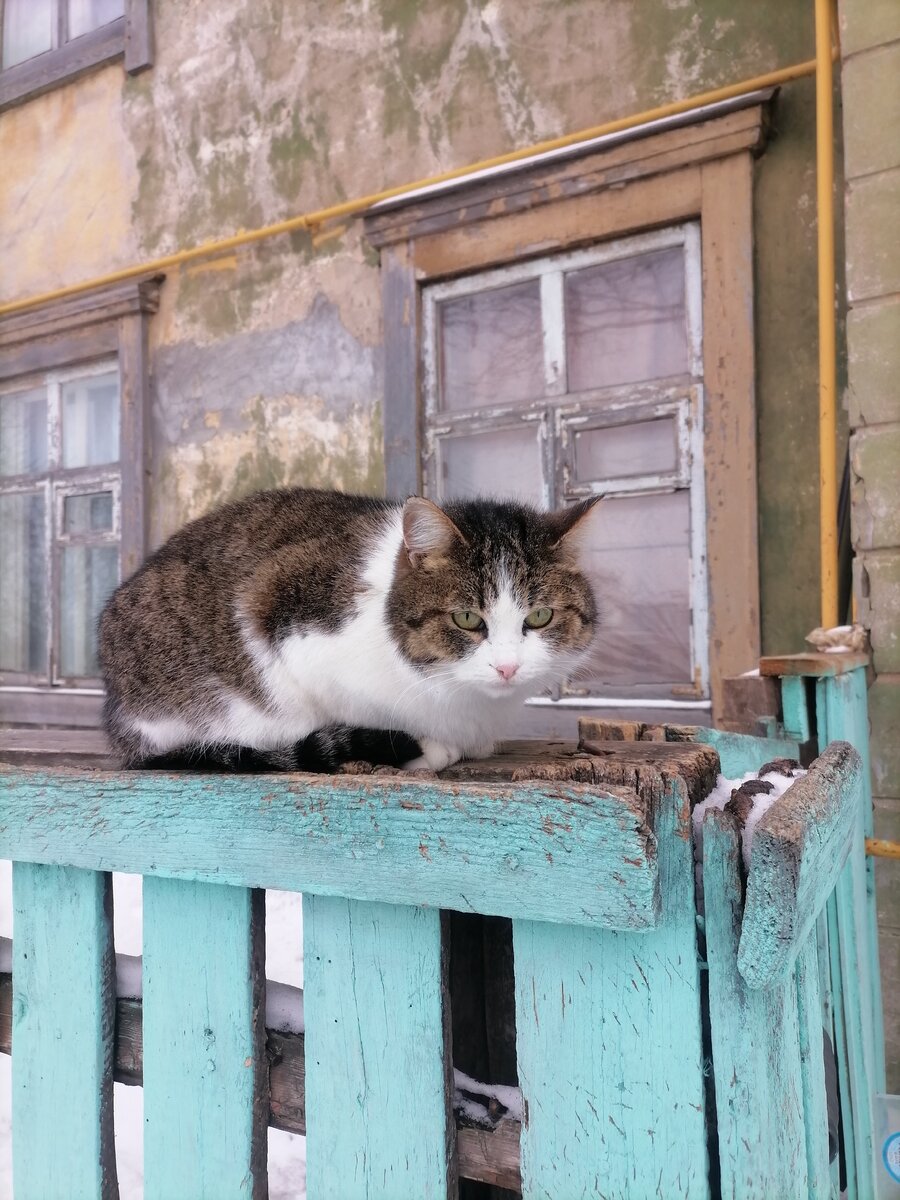 Фото автора