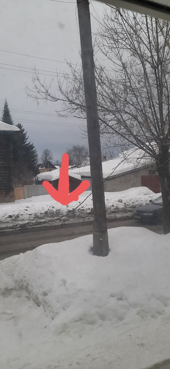 Висит на дереве