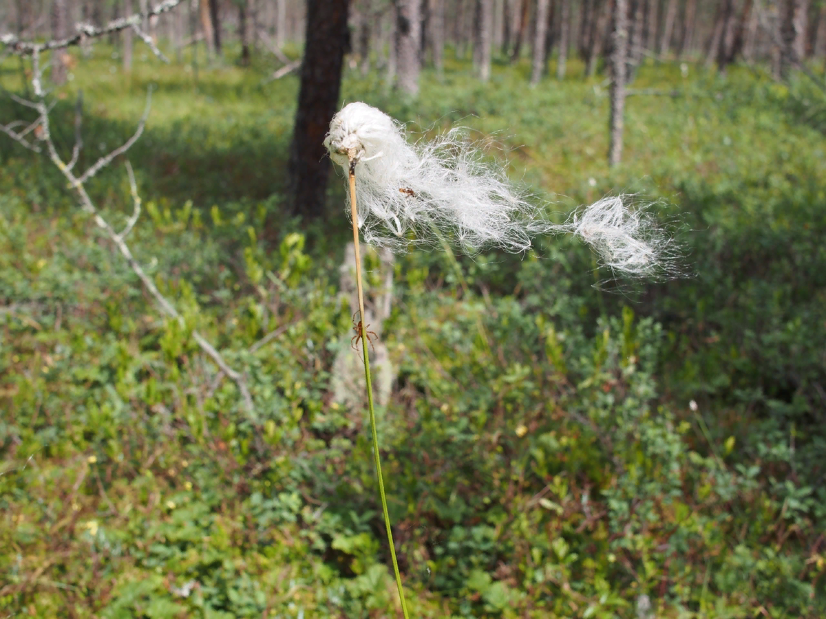 А этот снимок - про любовь... Присмотритесь)