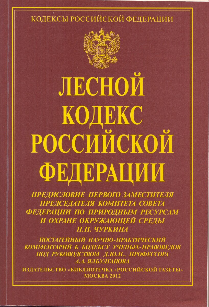 Фото взято из свободного доступа в интернете