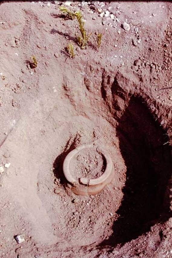 Горшочки из раскопок в Оплонтисе / Архив Яшемски