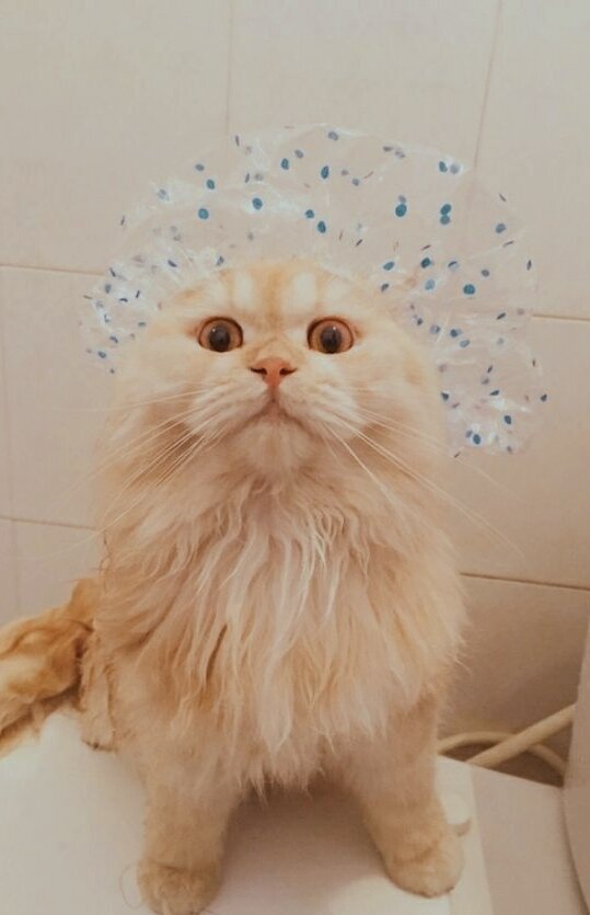 к водным процедурам готов!!!