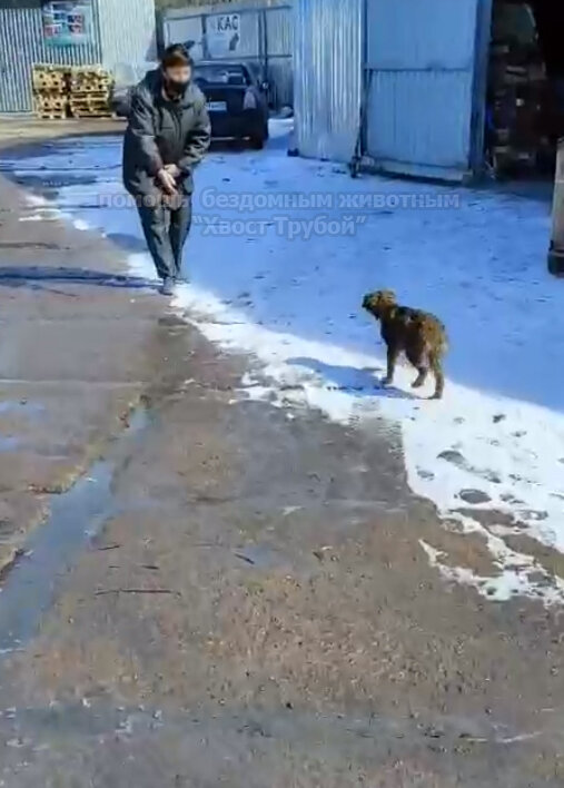 Малышка убегала и пряталась, как-будто была здесь впервые.