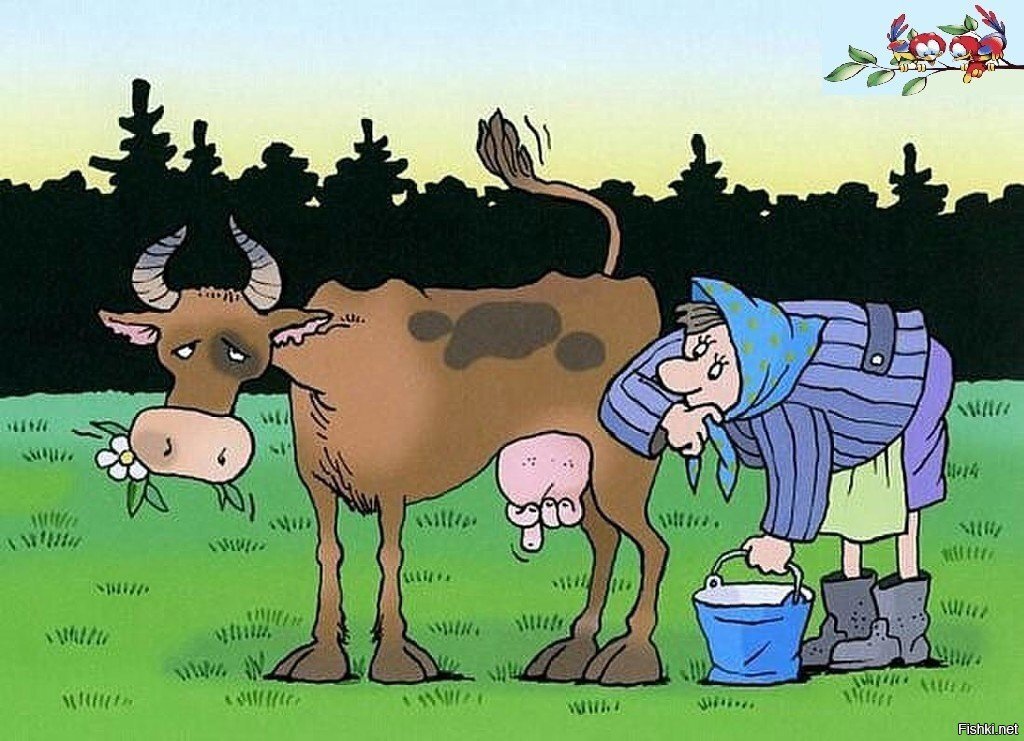 Картинка из свободного доступа. Автор, к сожалению, не был указан.