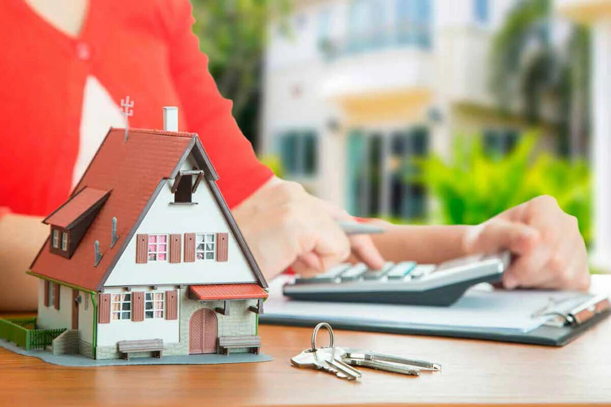 Изображение взято из открытых источников