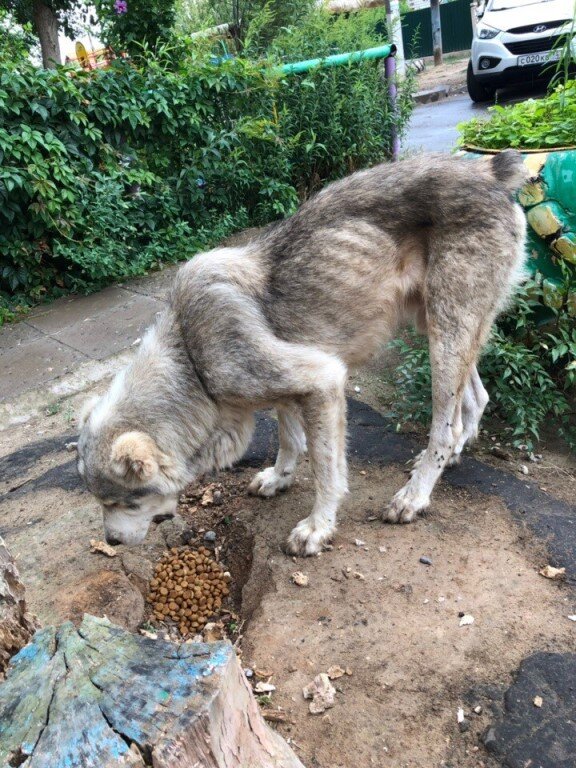 фото из открытых источников