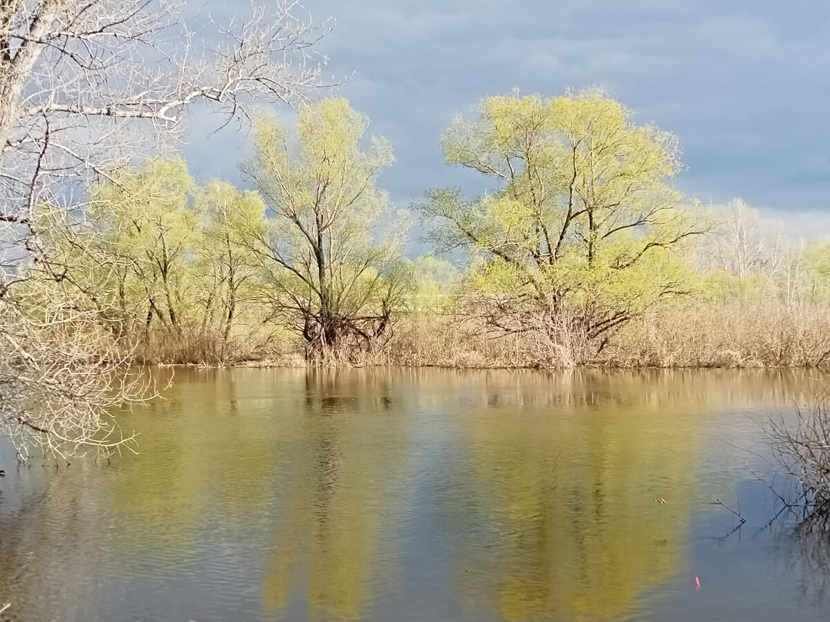 Река Свинуха. На улице +25°. Открыли купальный сезон 2021