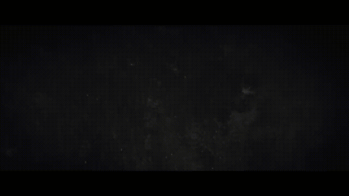 -3
