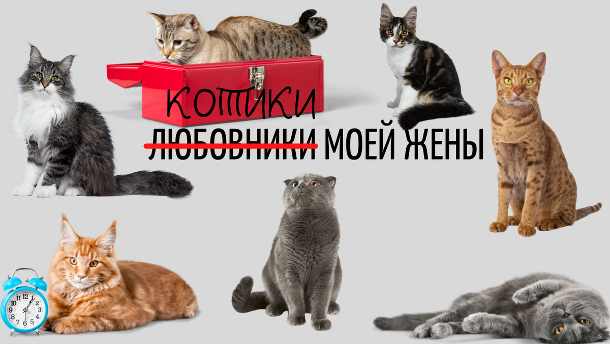 © Сила искусства, 2021 