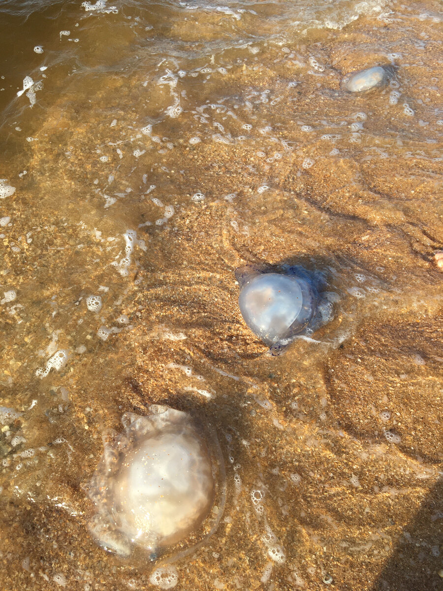 ощущени при просмотре рекламы со "звездами"