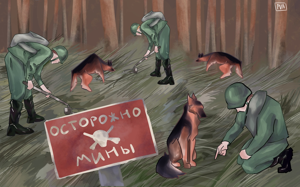 Источник: группа вконтакте "PVA" 