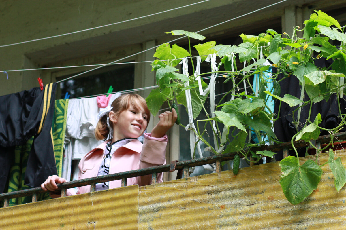 Утепление балкона. Стоит ли овчинка выделки | Home and garden | Дзен