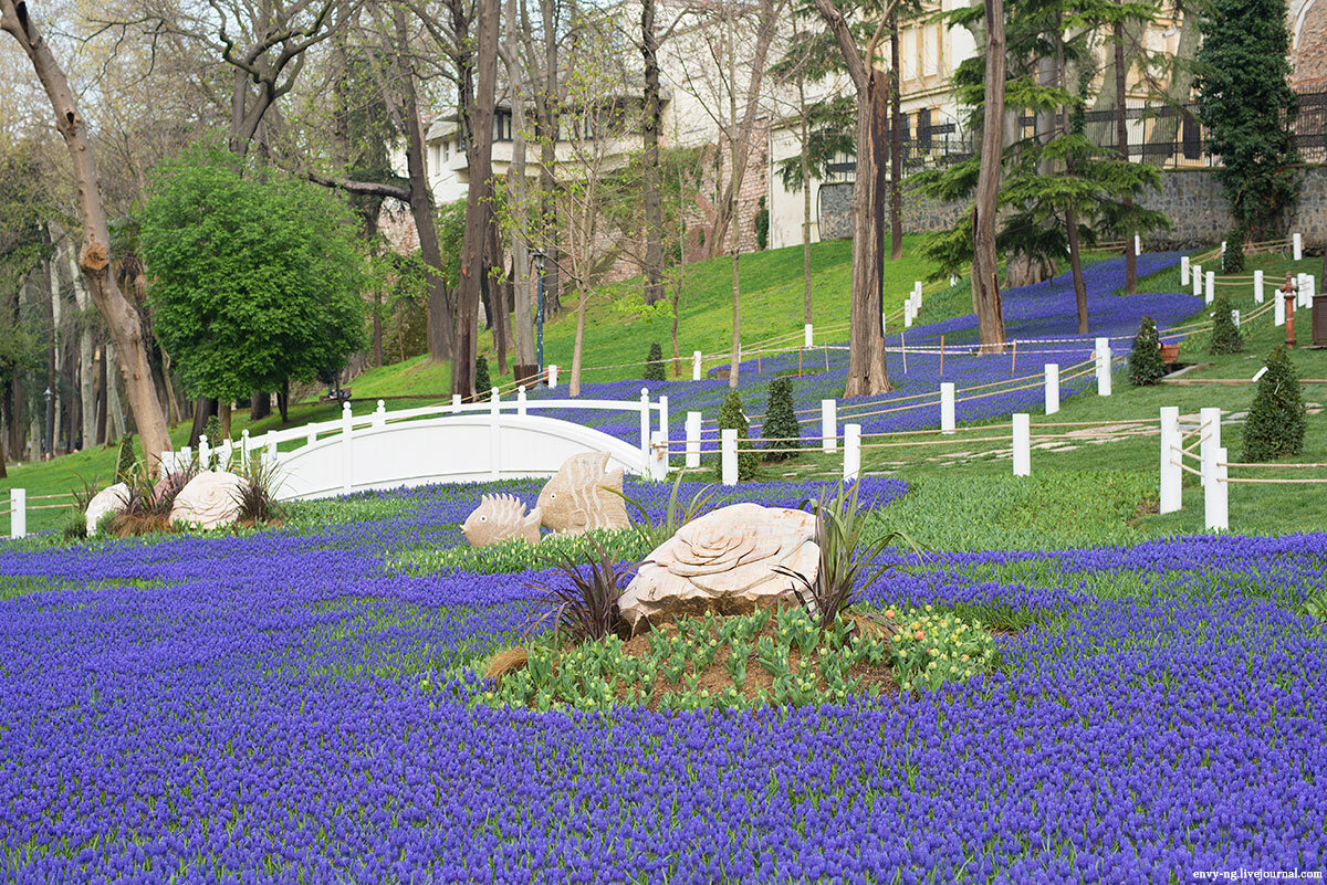 Парк стамбула розы. Гюльхане в стамбуле. Гюльхане в стамбуле. Гюльхане в стамбуле. Пару гюльханке стамбул.