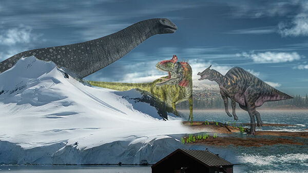 Источник: ria.ru