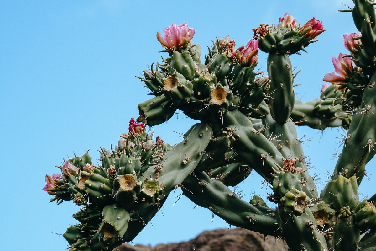 Фото: pexels