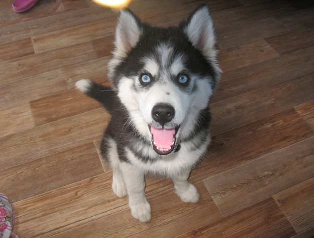 "Ну что, я красавица?"