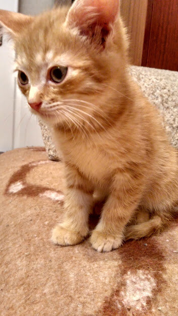 Это первая фоточка со мной.