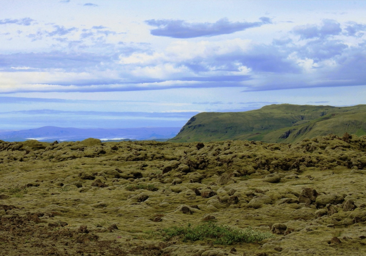 Лавовые поля Исландии. Источник: photosight.ru