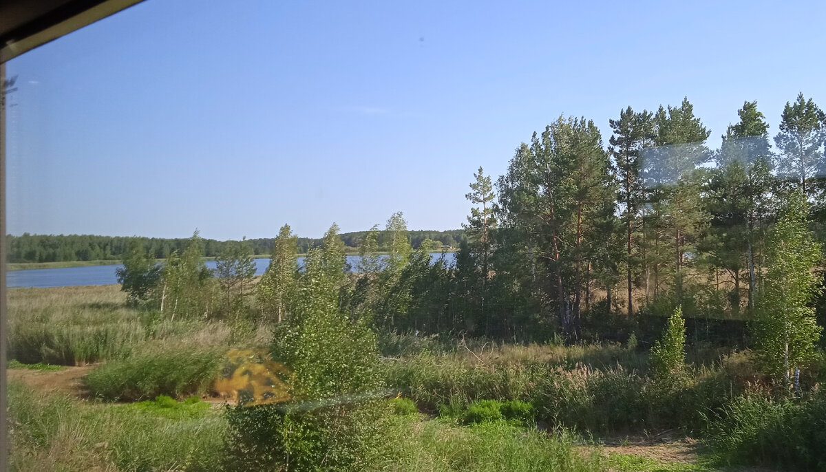 Фото из окна электички