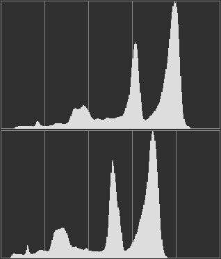 Сверху - APS-C, снизу - полный кадр.