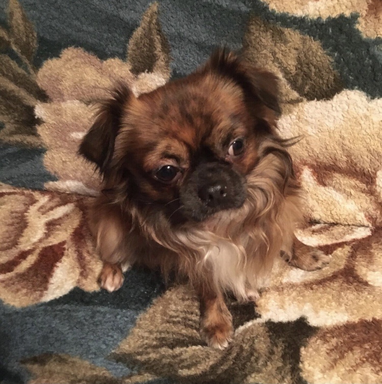 Личное фото 