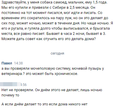 Частое ночное мочеиспускание: диагностика. МО «Новая больница»